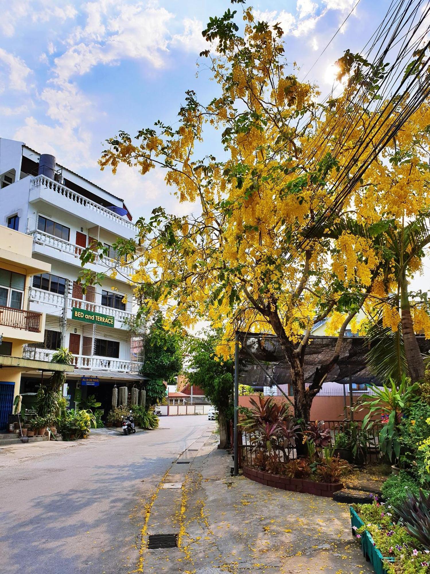 Bed&Terrace pensión Chiang Mai Exterior foto